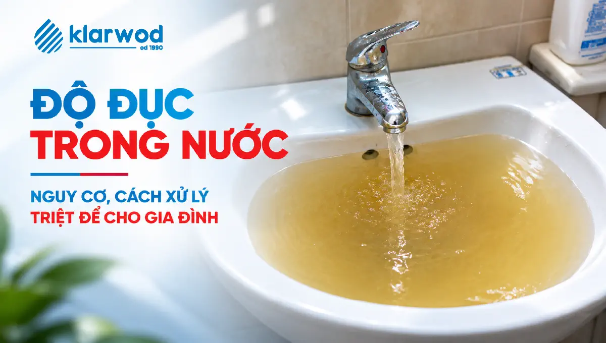 Độ Đục Trong Nước Là Gì? 4 Cách Xử Lý Triệt Để