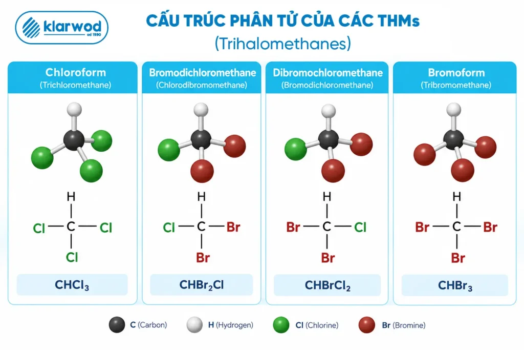 Cấu trúc phân tử 3D và công thức hóa học của 4 hợp chất thuộc nhóm THMs