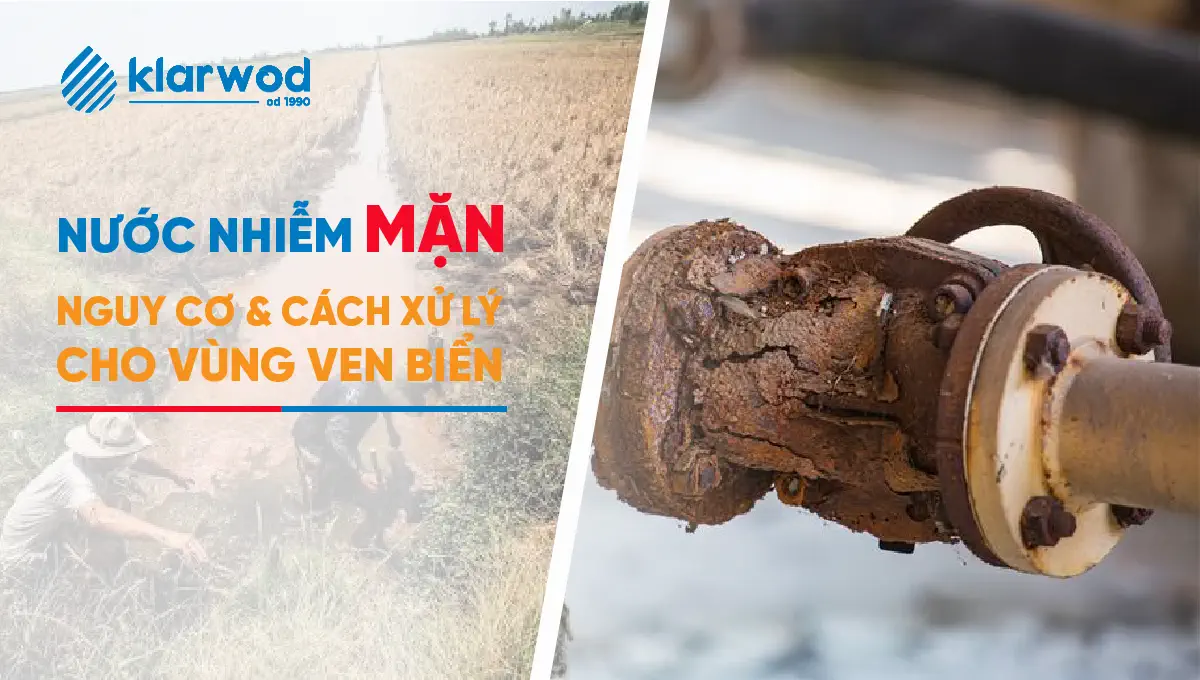 Nước nhiễm mặn: nguy cơ, cách nhận biết và cách xử lý