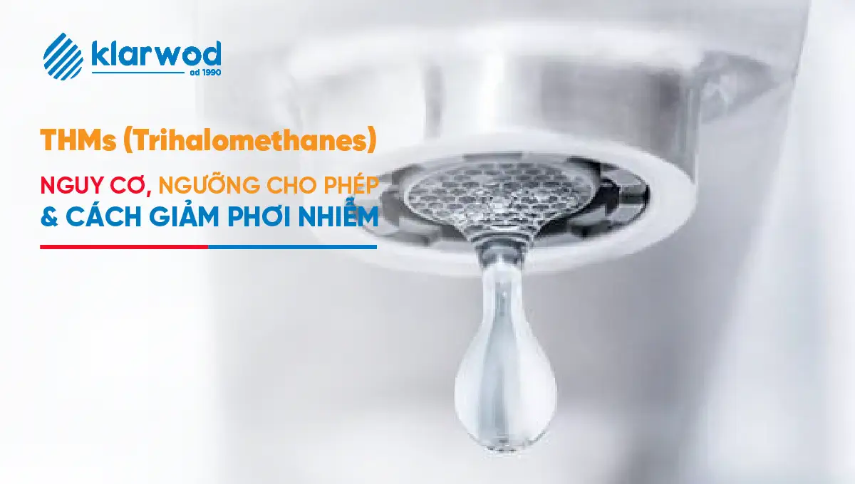 THMs trong nước là gì? Ngưỡng cho phép và cách giảm